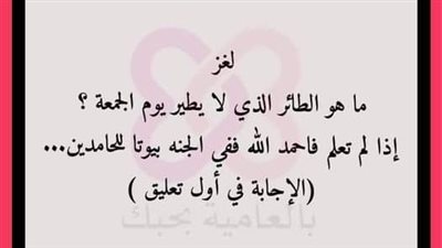 هذا الطائر الوحيد الذي لايطير يوم الجمعة