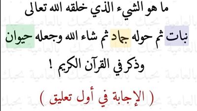 ما هو الشيء الذي خلقه الله نبات ثم حوله جماد
