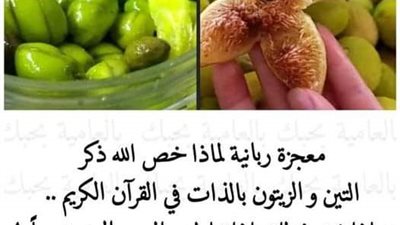 التين والزيتون
