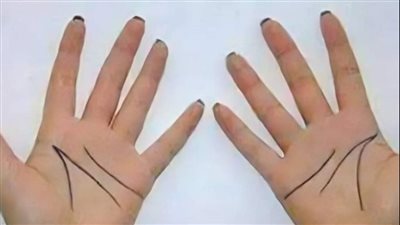 سر الخطوط في يديك ضاع عمرنا ونحن لا نعرفه !!