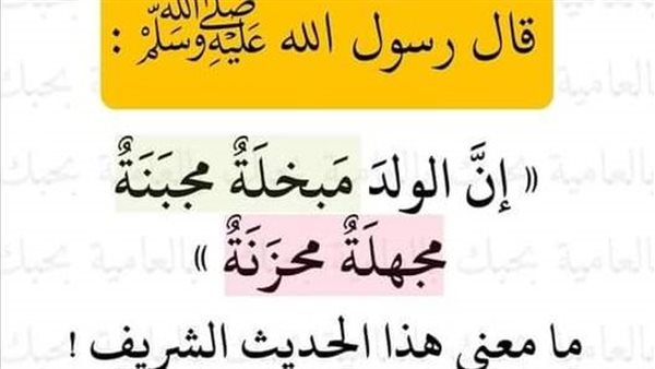 موقع أيام نيوز