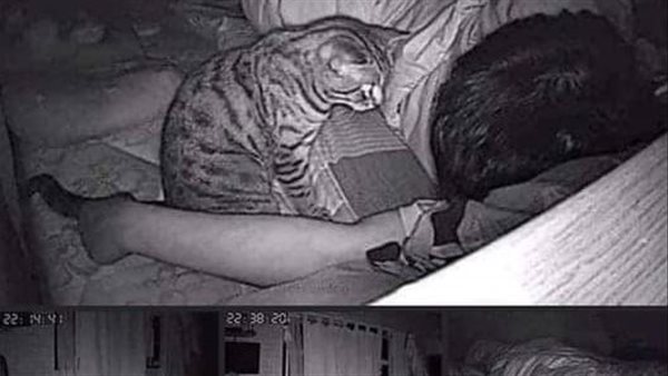 موقع أيام نيوز