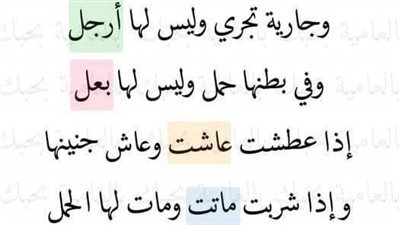 لغز شعري ** وجارية تجري وليس لها أرجل وفي بطنها إنجاب وليس لها بعل