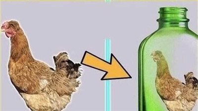 قصة  و عبرة  