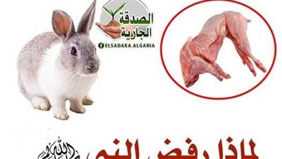لماذا أمتنع النبي ﷺ ورفض اكل لحمم الارنب