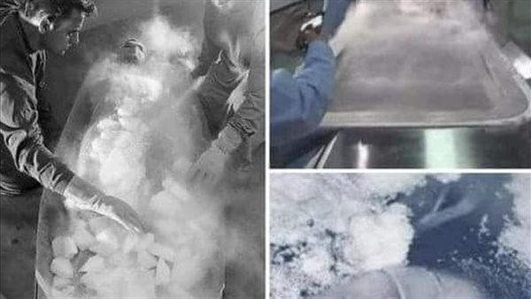 موقع أيام نيوز