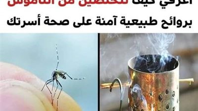 روائح طبيعية سوف تساعدك في التخلص من الناموس بطريقة آمنة على صحة أسرتك
